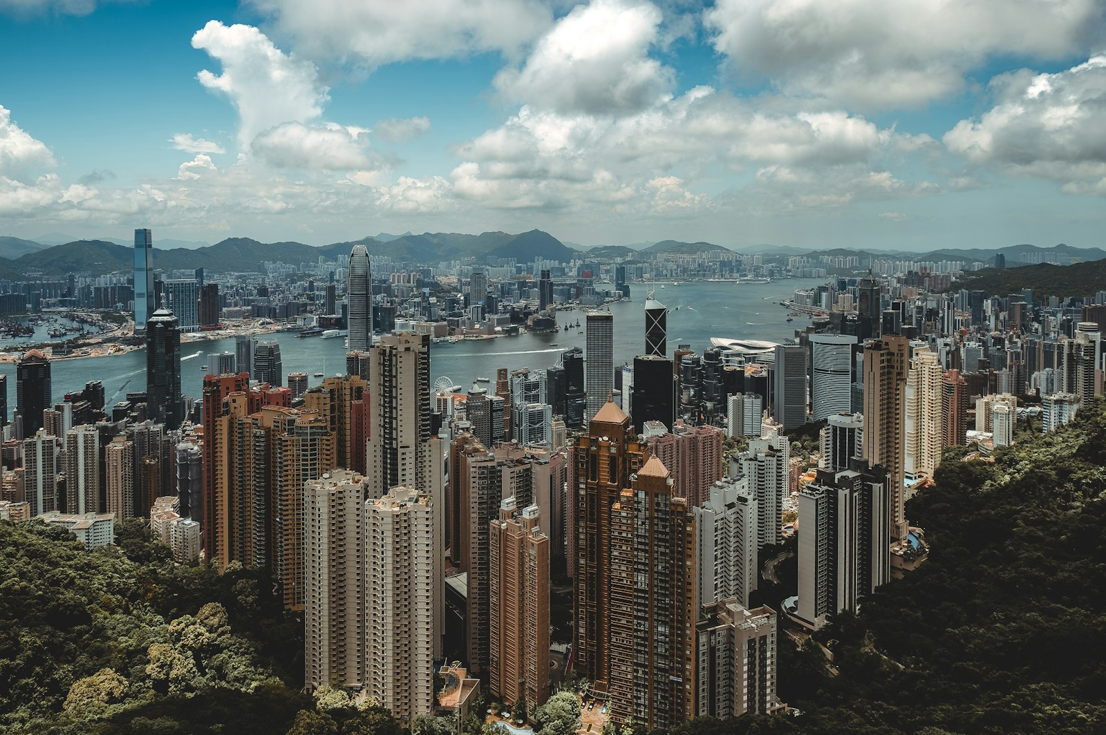 aerial view of cityscape